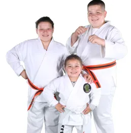 centers to practice kendo in milwaukee Girtons ATA Taekwondo