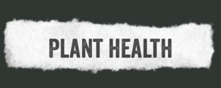We utilize several different tactics to maintain the health of your plants, as well as help to educate you on how to properly maintain your plants after we leave to ensure healthy root structures, consistent growth and overall happy plants!