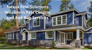 pest control bedbugs milwaukee Nexus Pest Solutions