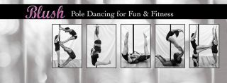 table dance lessons milwaukee BLUSH Pole Fitness & Dance, LLC