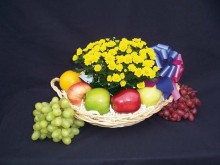 organic baskets milwaukee Fruit Ranch