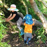 daycare milwaukee Tiny Green Trees Nature Based Childcare and Forest School