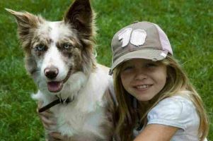 canine trainers milwaukee Dog's Best Friend