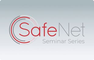 consultancies milwaukee SafeNet Consulting