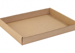 Corrugated Trays & Can Carriers