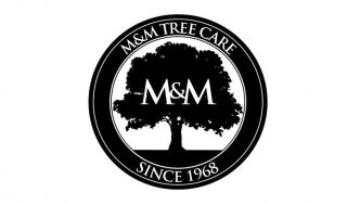 tree felling milwaukee M&M Tree Care
